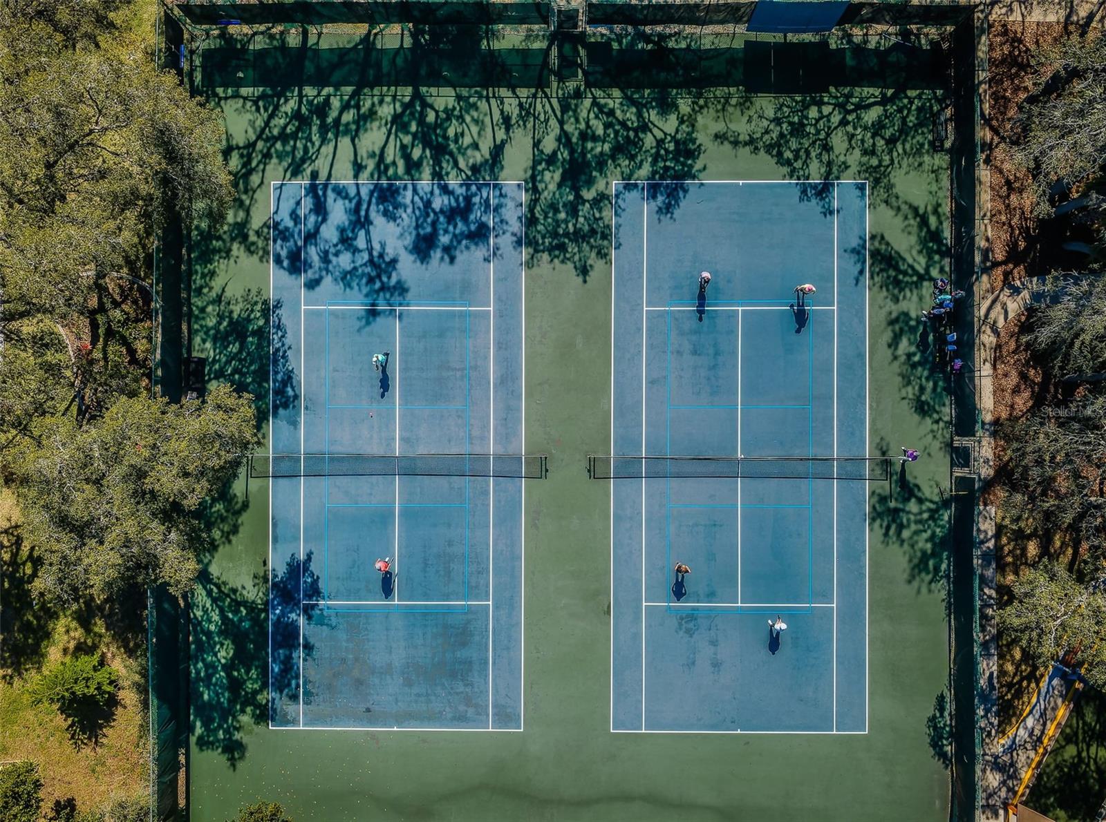 Timber Oaks Tennis