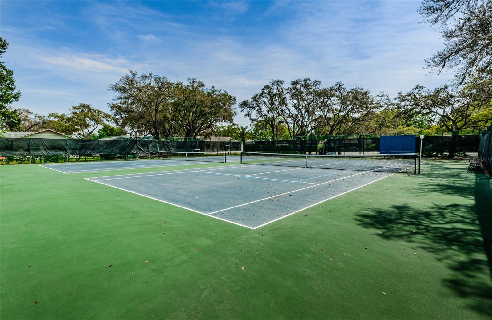 Timber Oaks Tennis