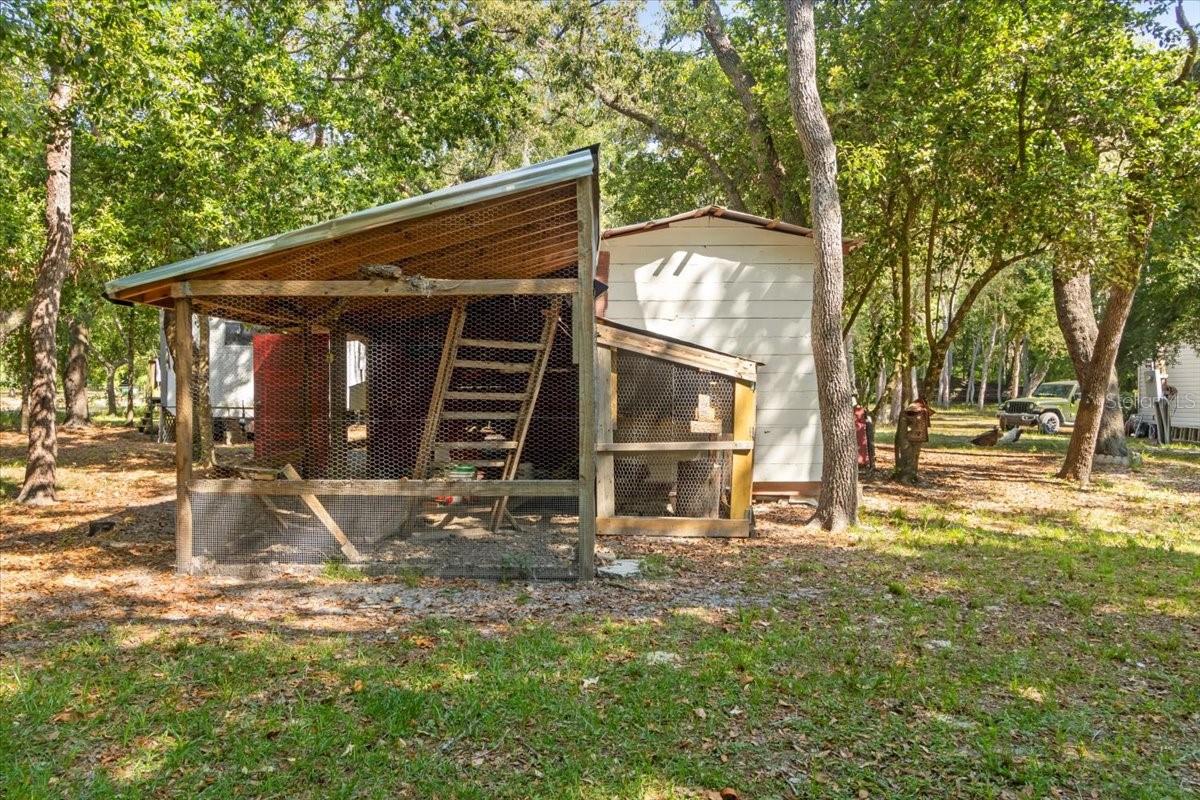 Chicken Coop