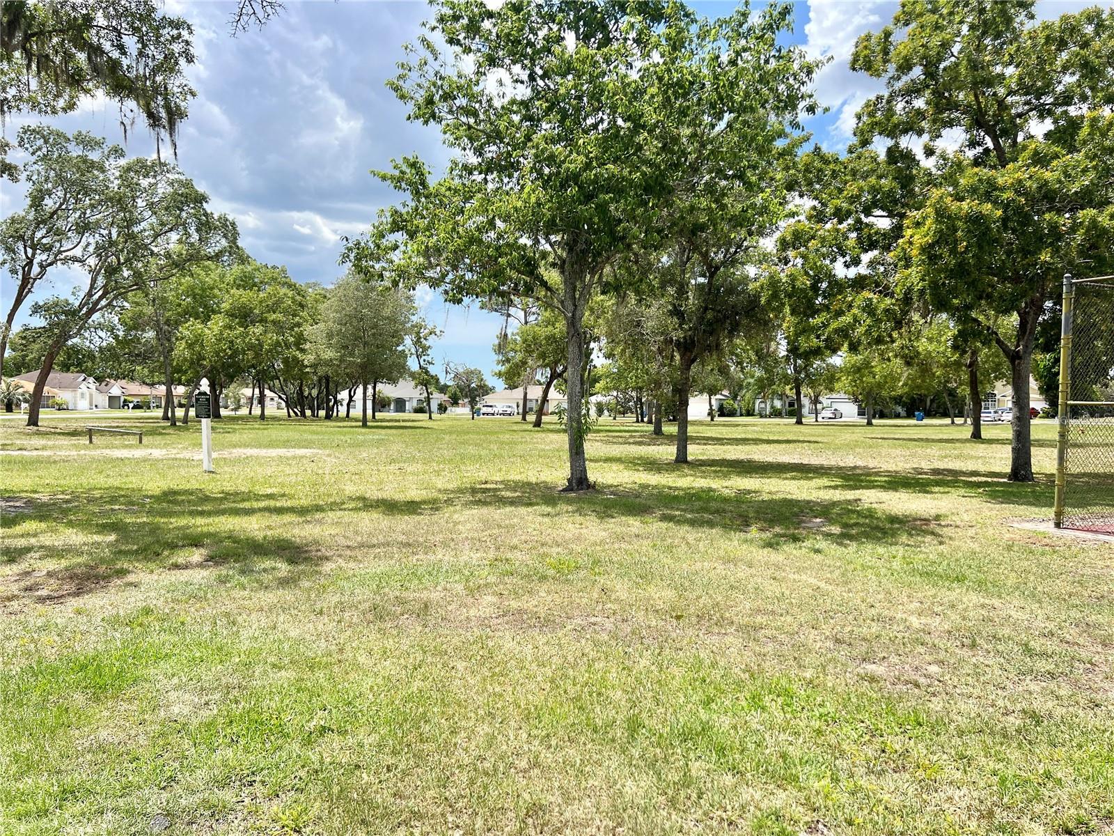 Community Park