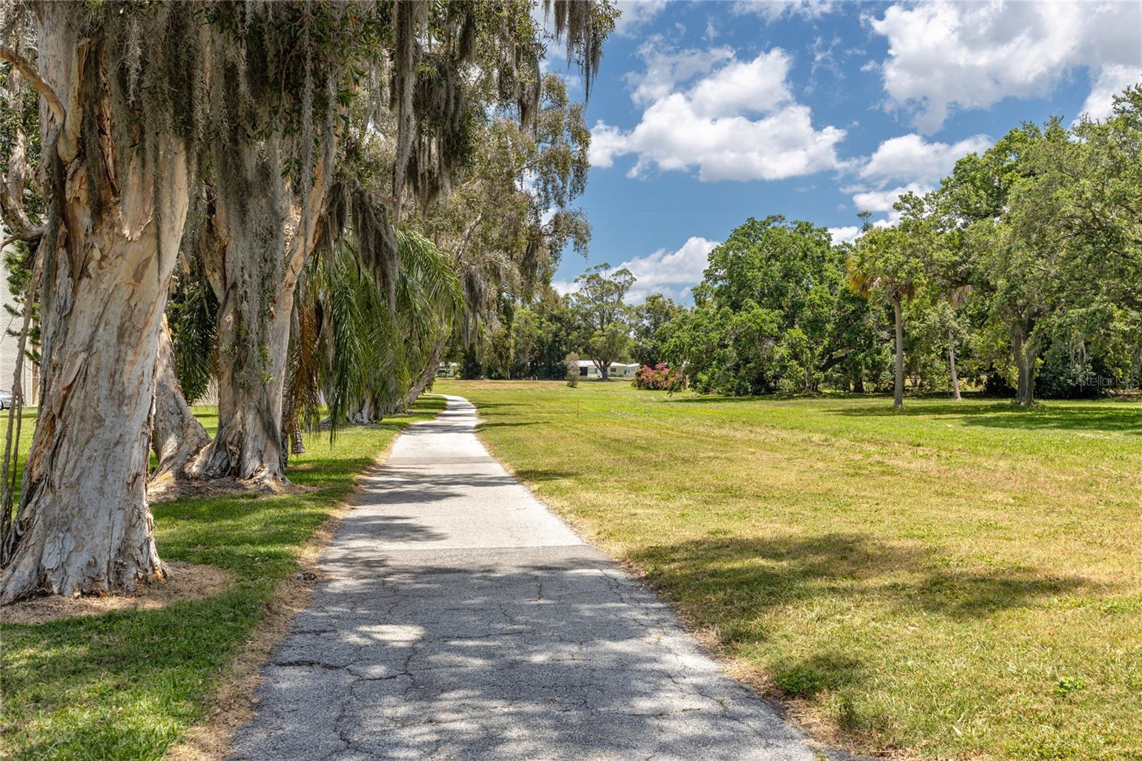 walking path in the Bay Pointe Conservation