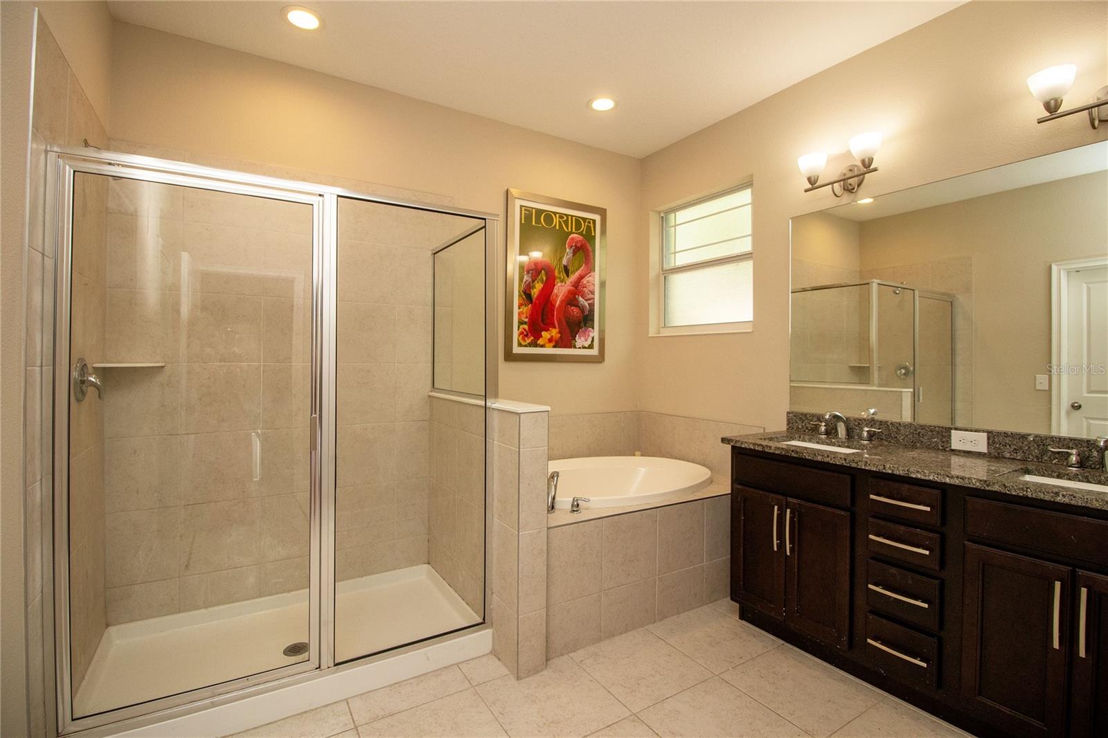 Soaking tub and separate shower