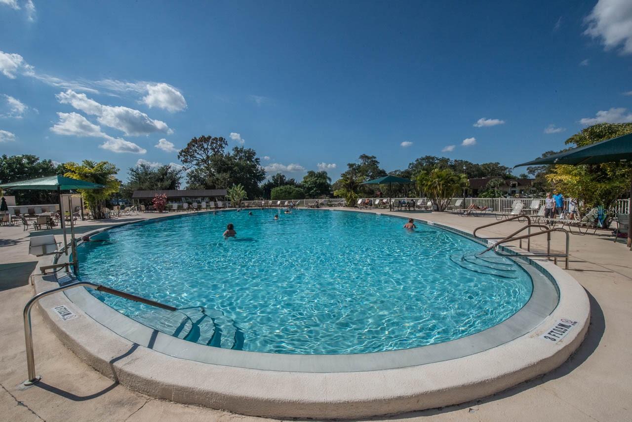 North clubhouse Pool