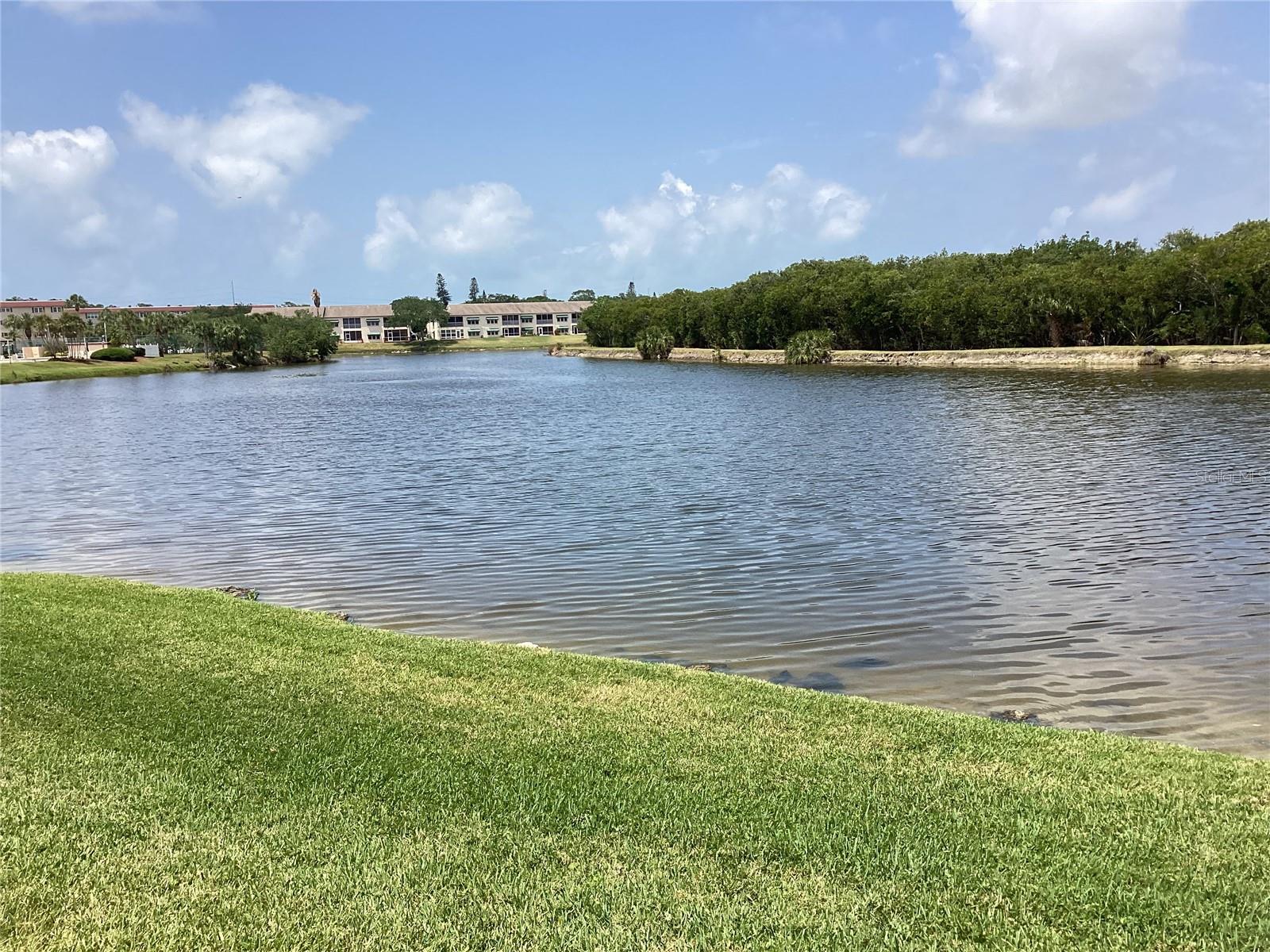 View of Lake from parking space