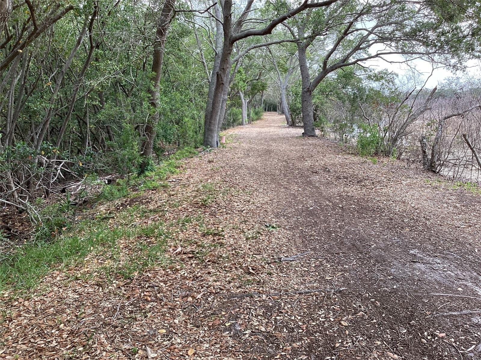 1-mile Nature Walk path