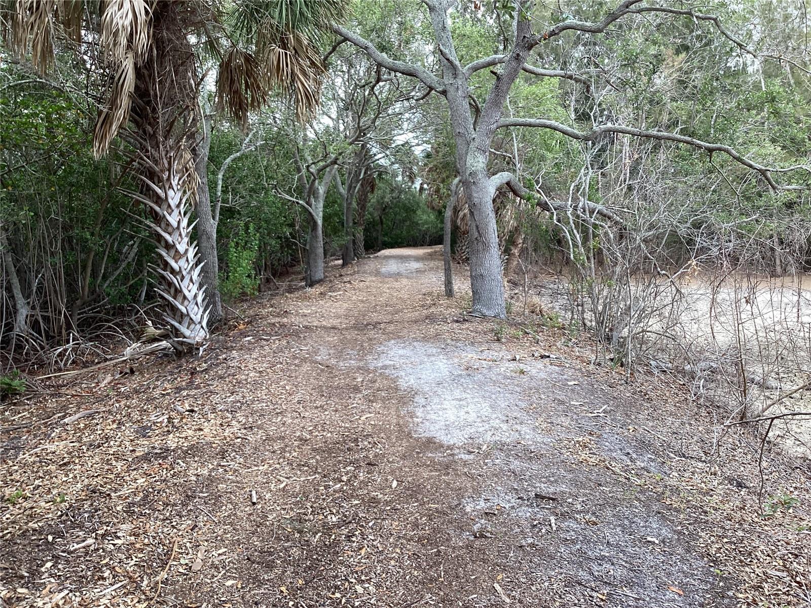 Nature walk