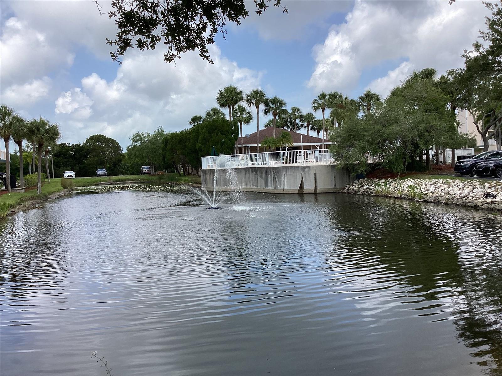 View of Pool deck exiting nature walk