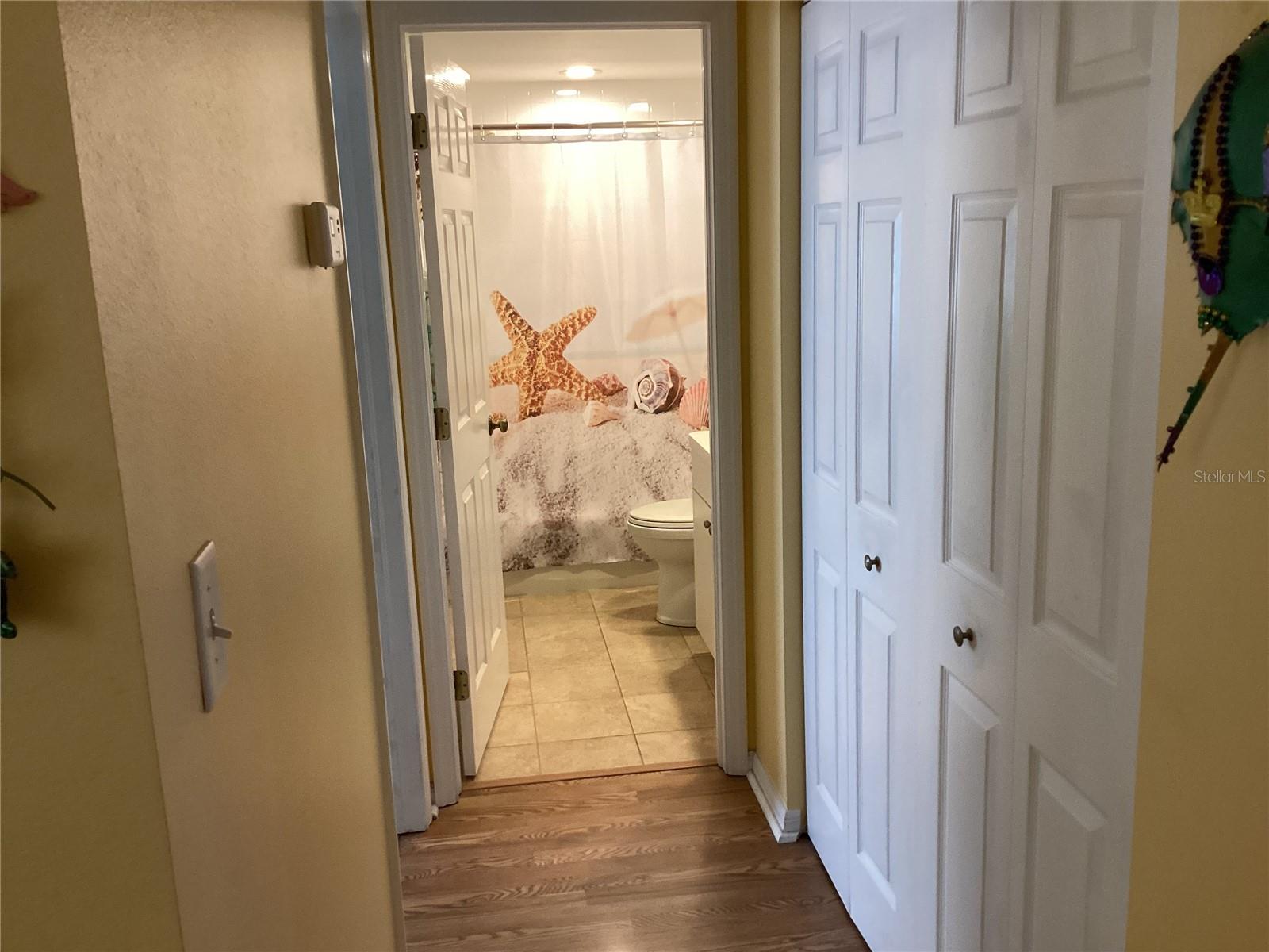 Hallway closet to guest bathroom