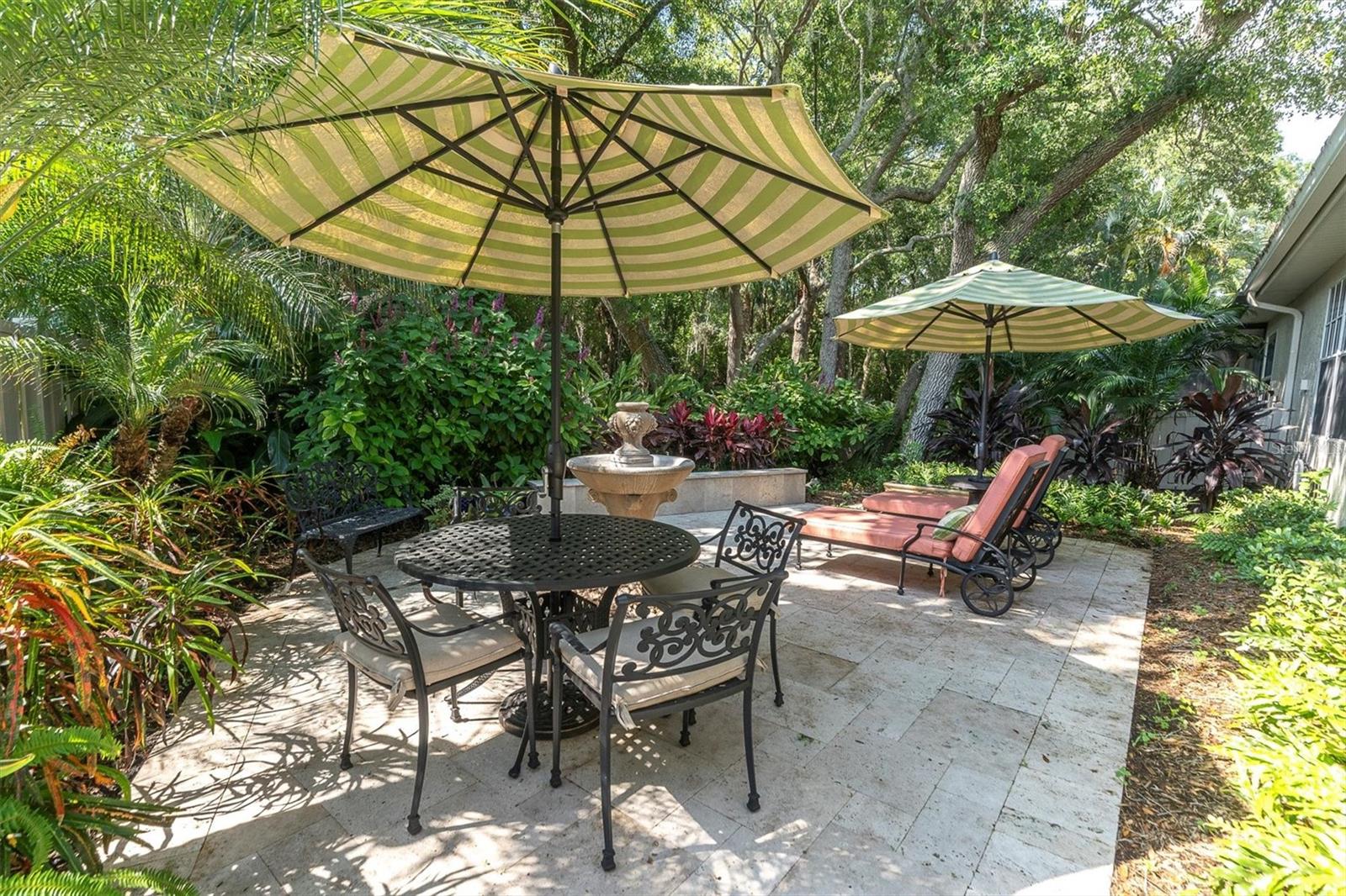 Outdoor patio area