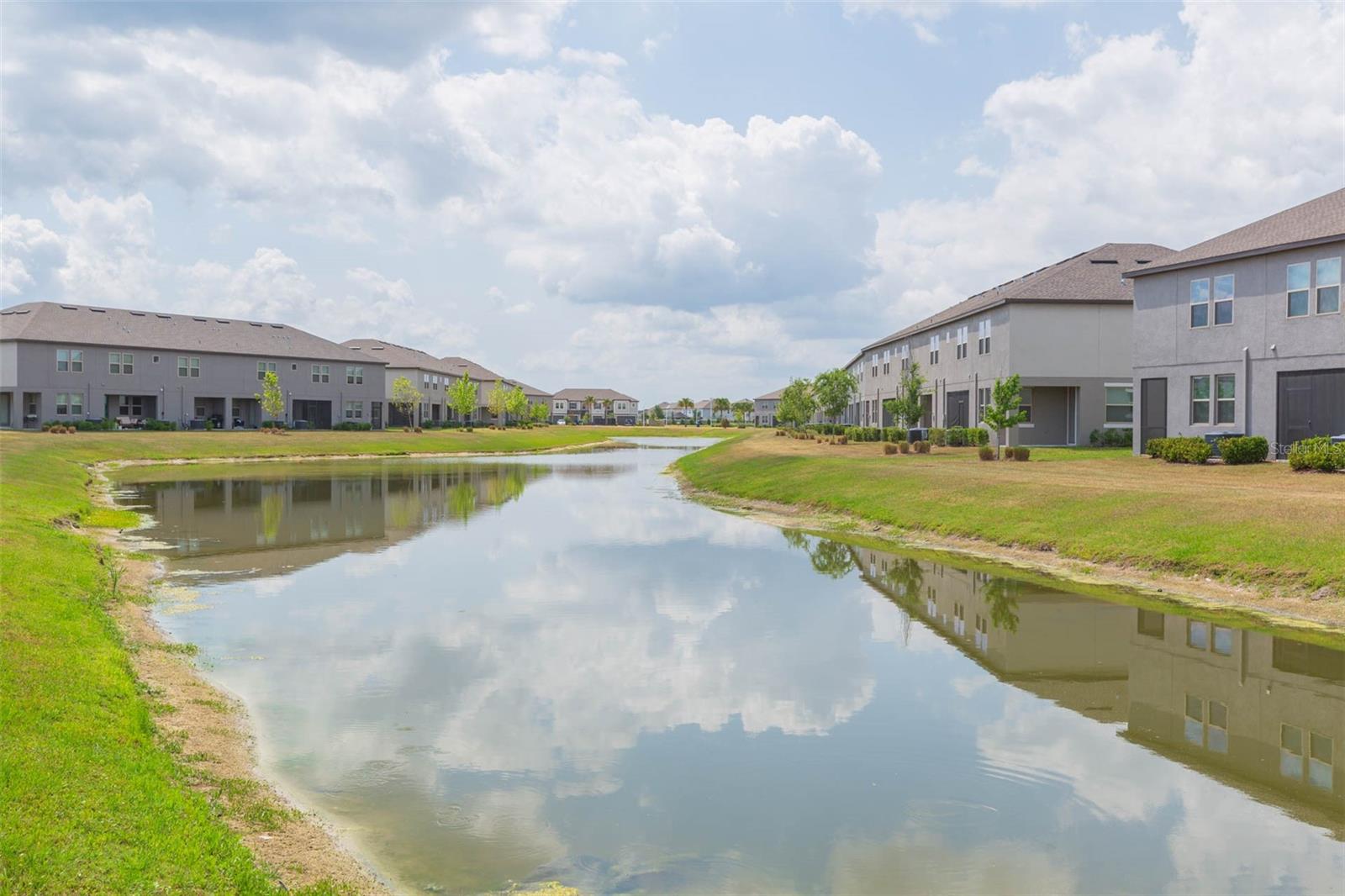 Serene pond view