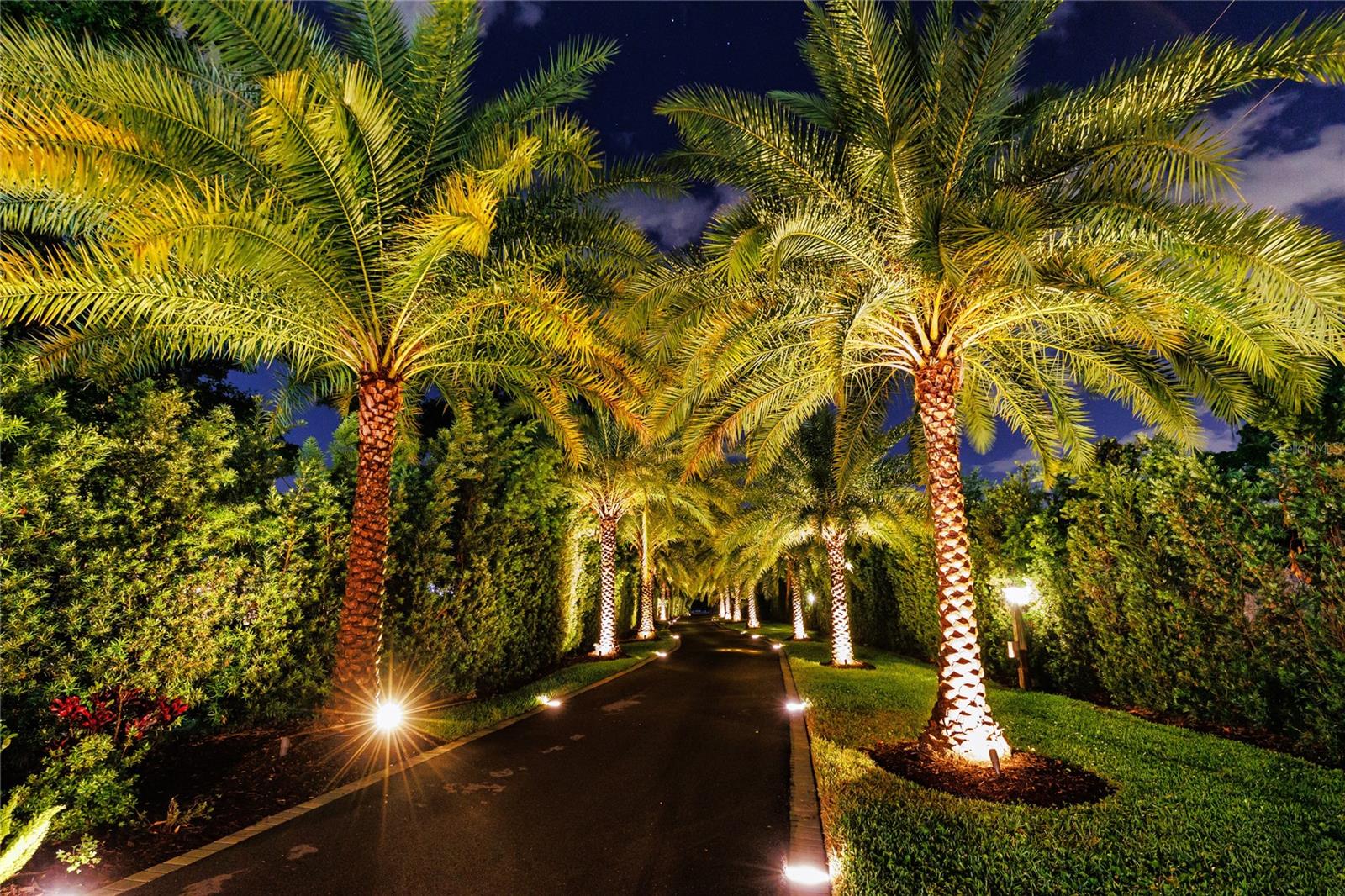 Night lights entryway