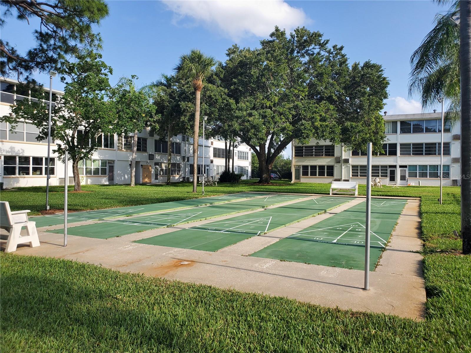 Shuffle Board Anyone?