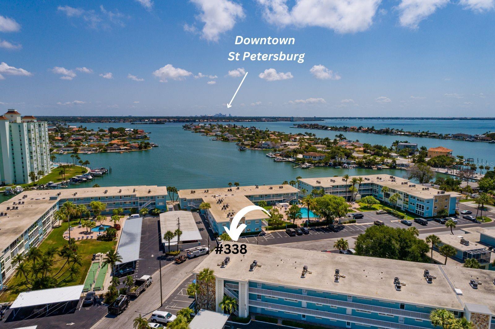 17 min to trendy Downtown St Petersburg from #338.