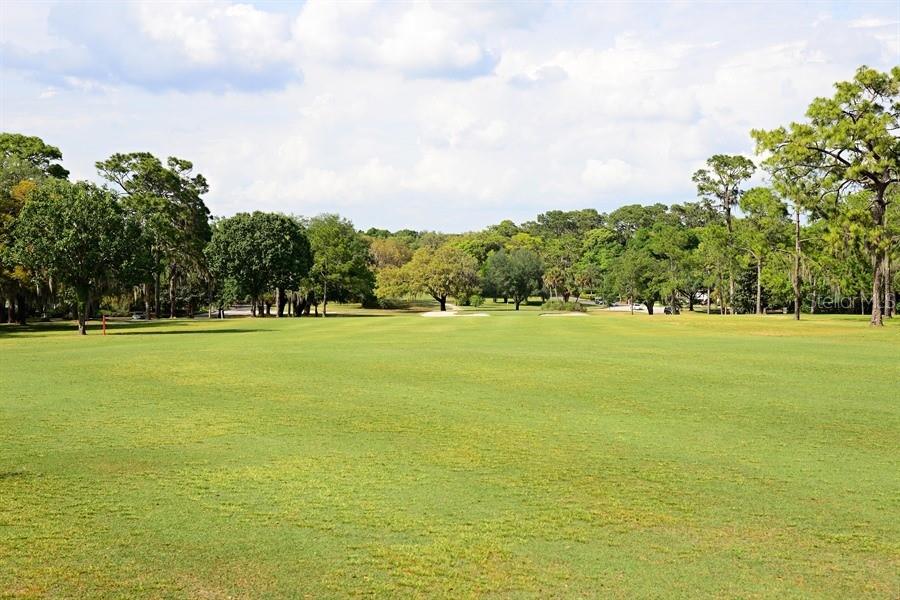 Temple Terrace Golf Course