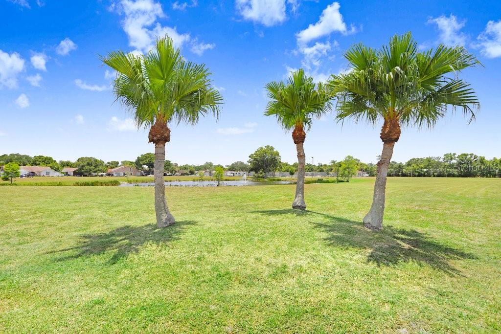 Relax under the palms