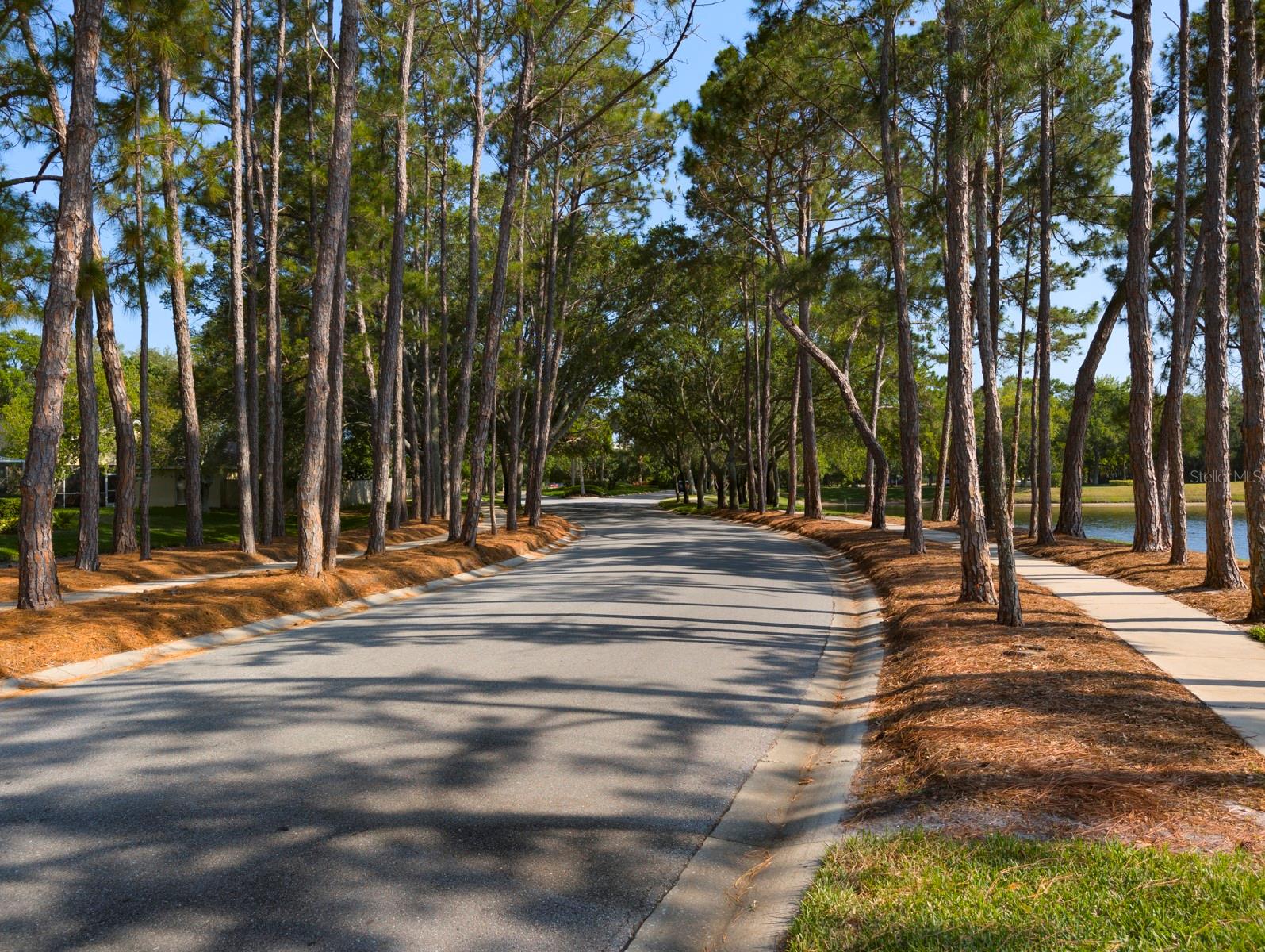 Welcoming drive into the neighborhood