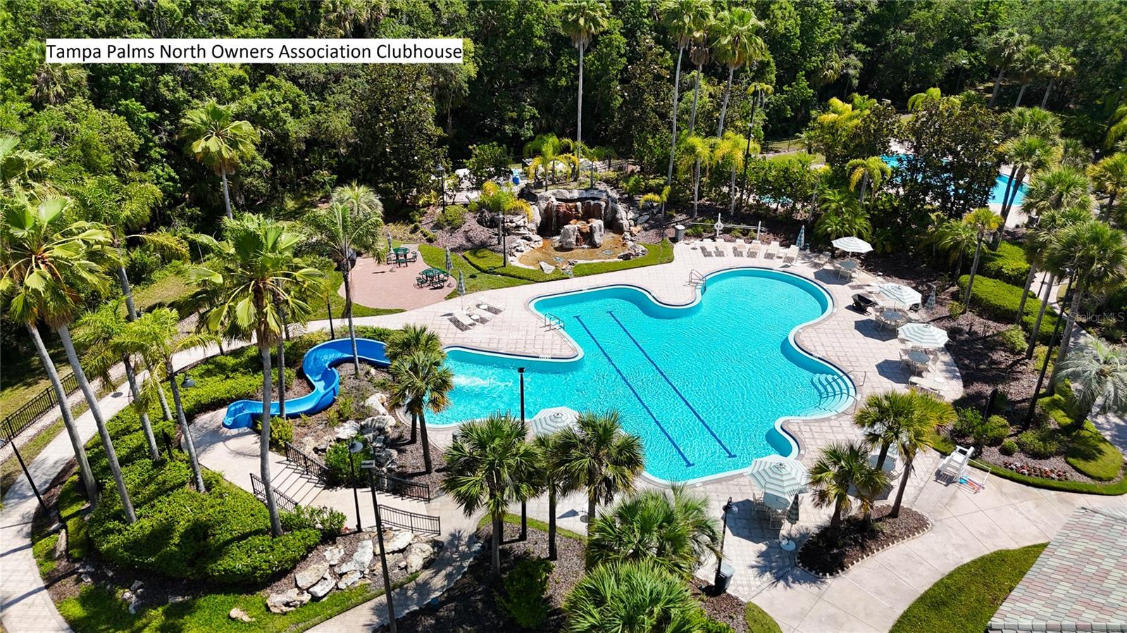 Tampa Palms North Owners Association Clubhouse & Amenities