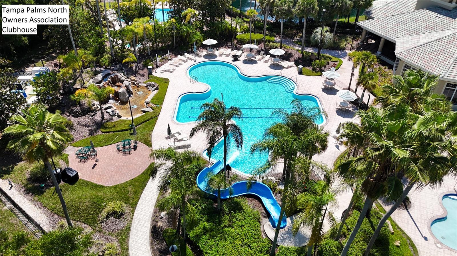 Tampa Palms North Owners Association Clubhouse & Amenities