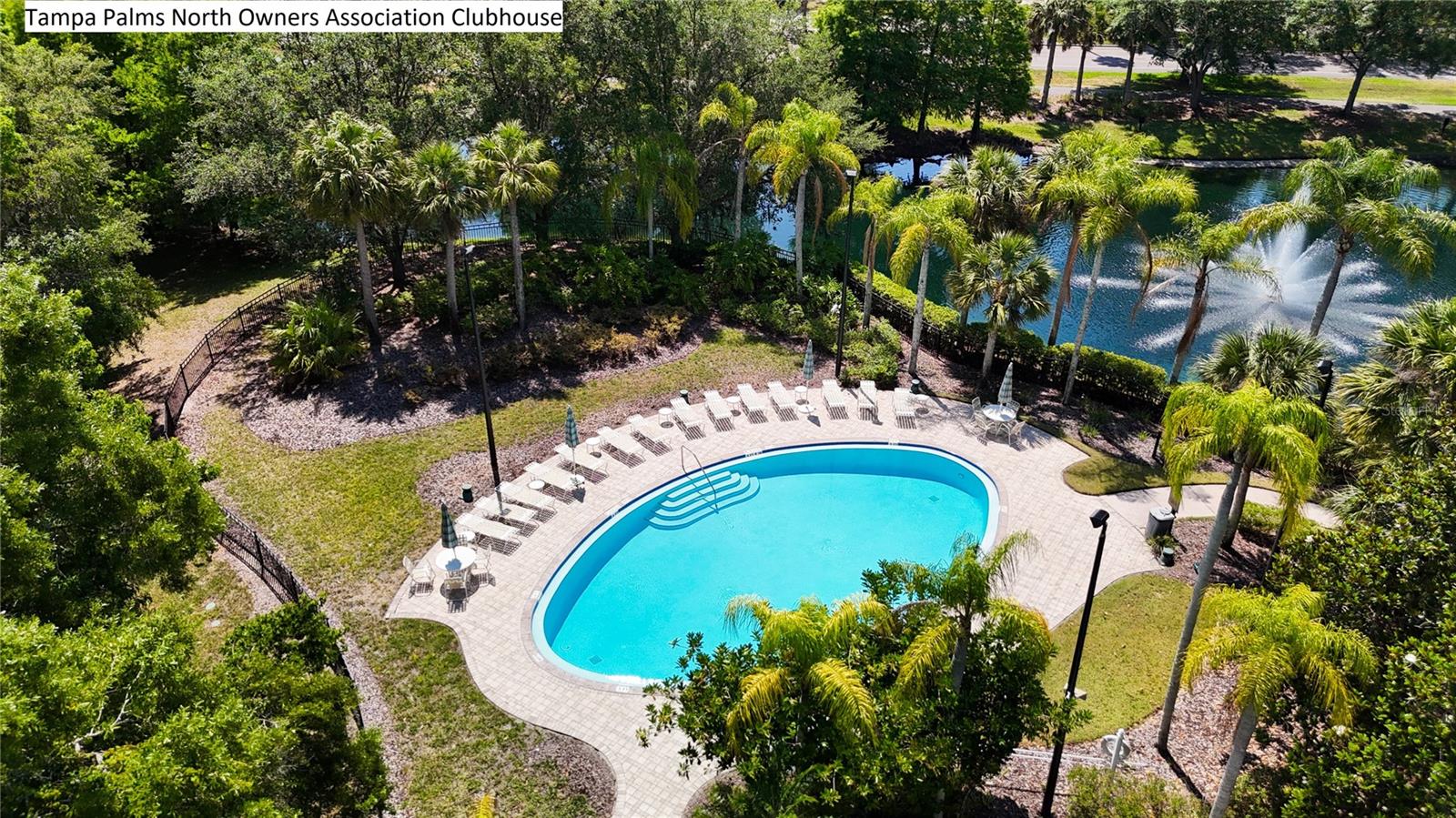 Tampa Palms North Owners Association Clubhouse & Amenities