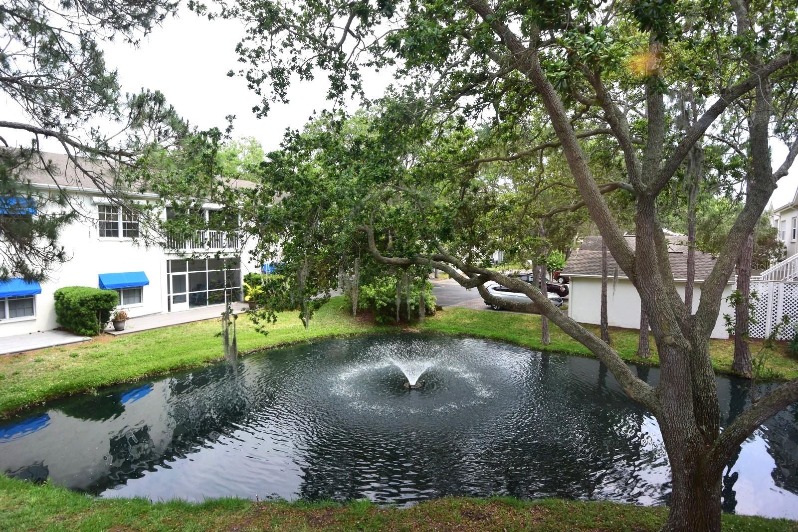 Pond View from Florida Room