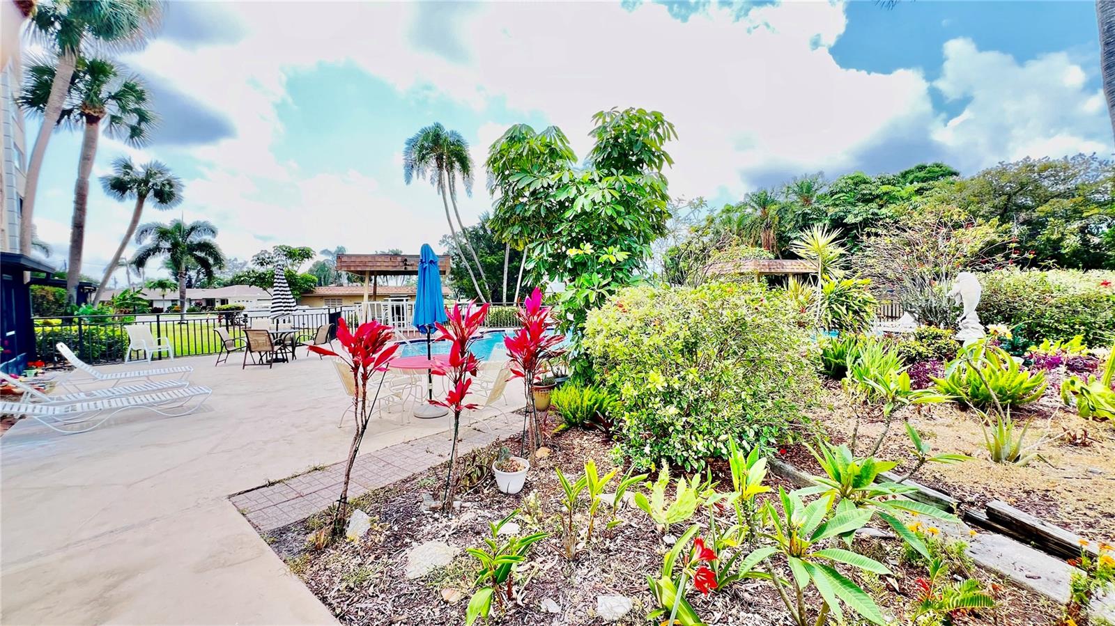 Garden by pool