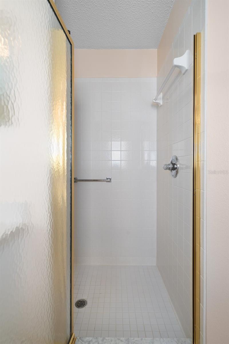 Master Bathroom Shower