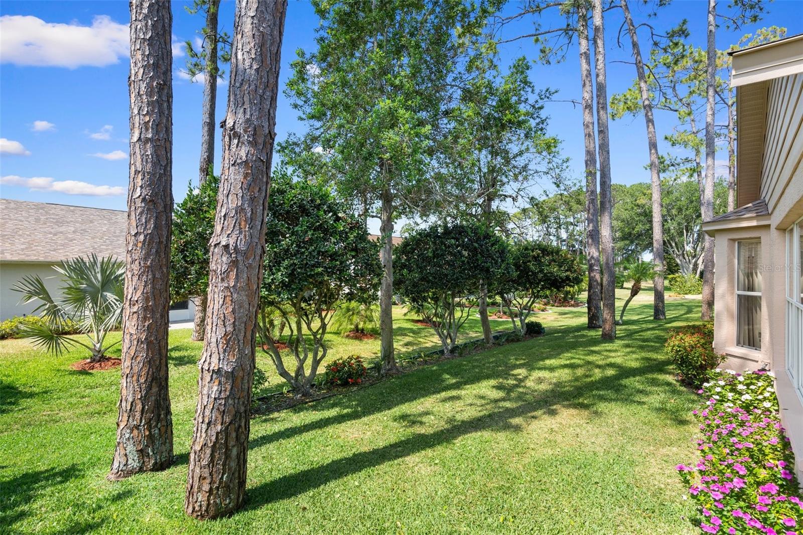 Beautifully Landscaped Yard