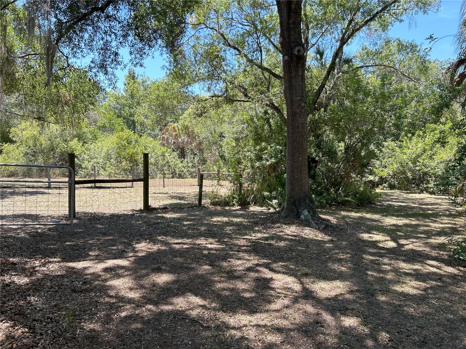 Shady, sun-dappled, bird-watching quiet awaits you in the oversized yard.