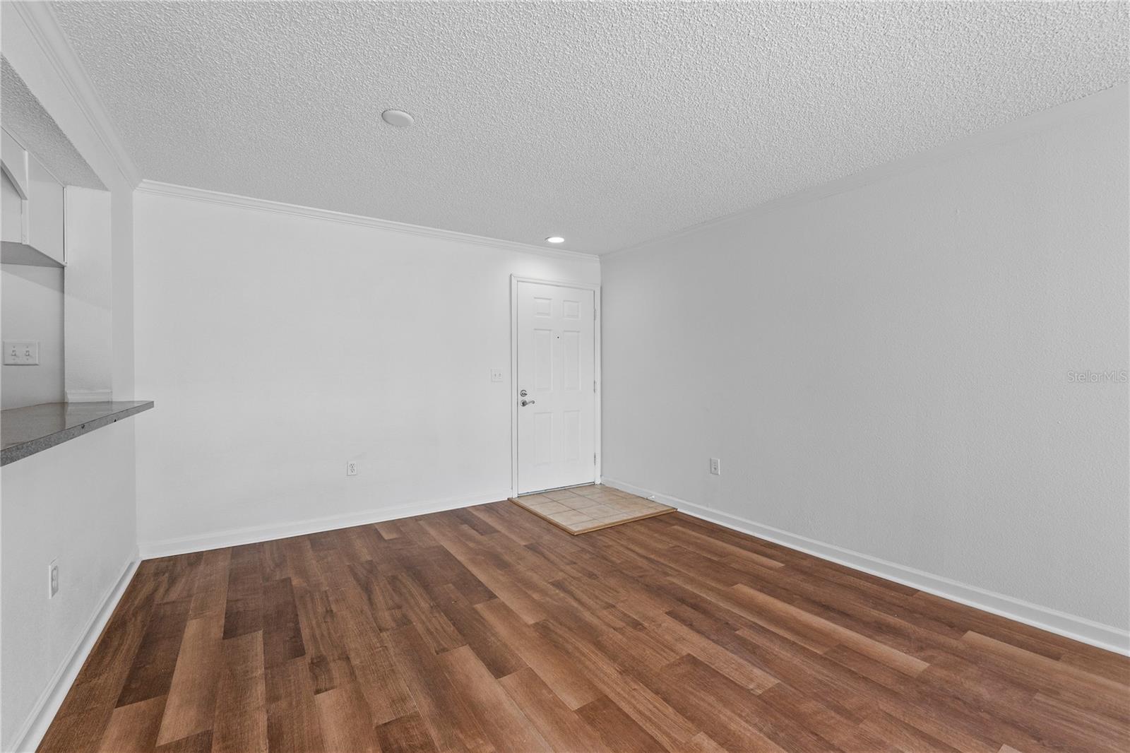 Large Dining Room/Living Room combo