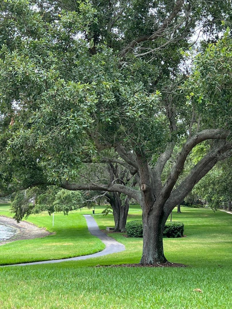 Park, tennis courts, basketball courts.