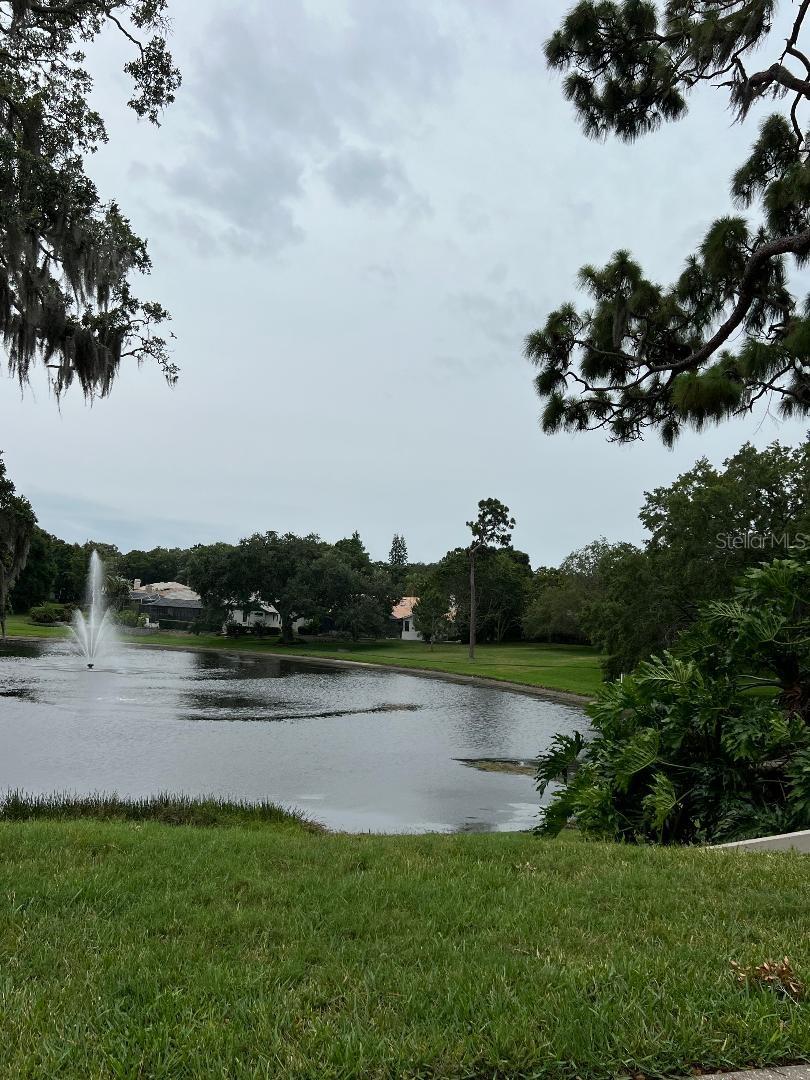 Beautiful fountain and pond with walking trails.