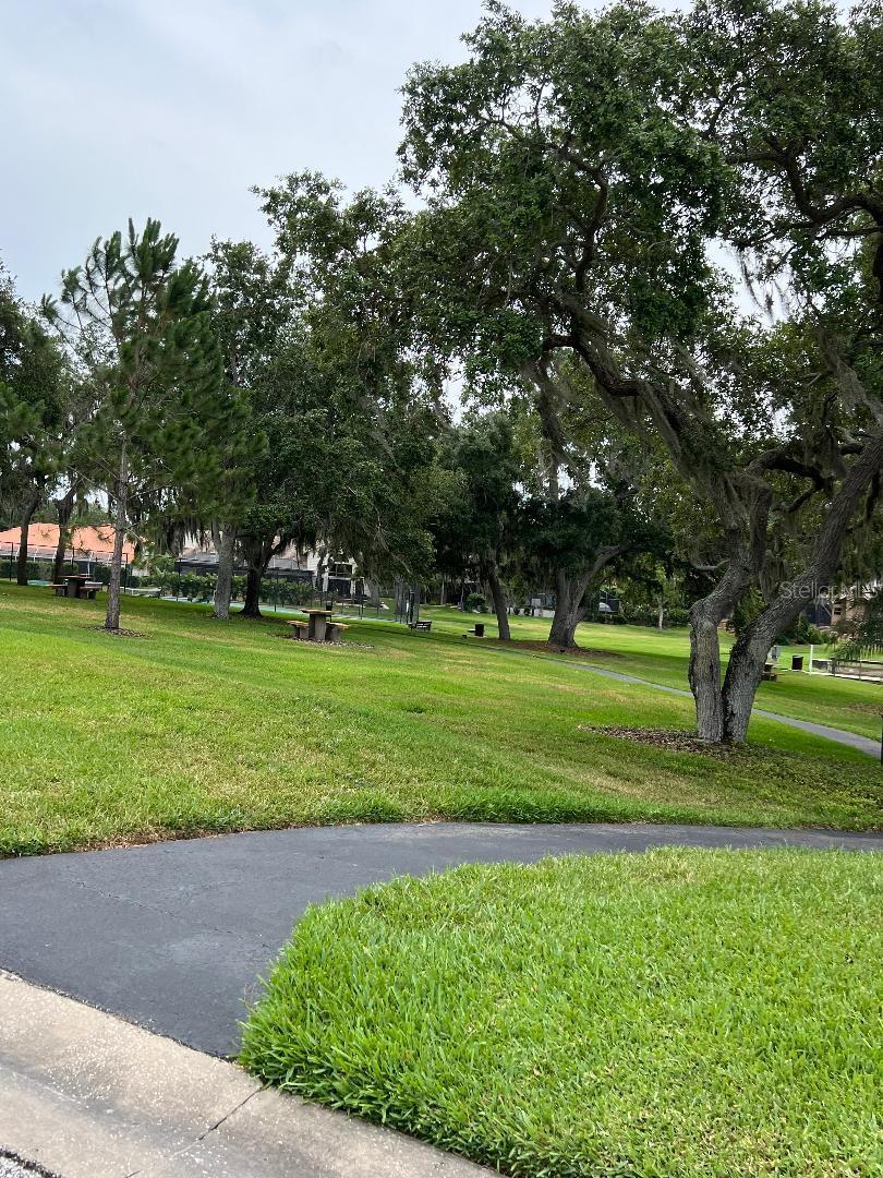 Big Oak Trees line the neighborhood, walking trails, fountain.