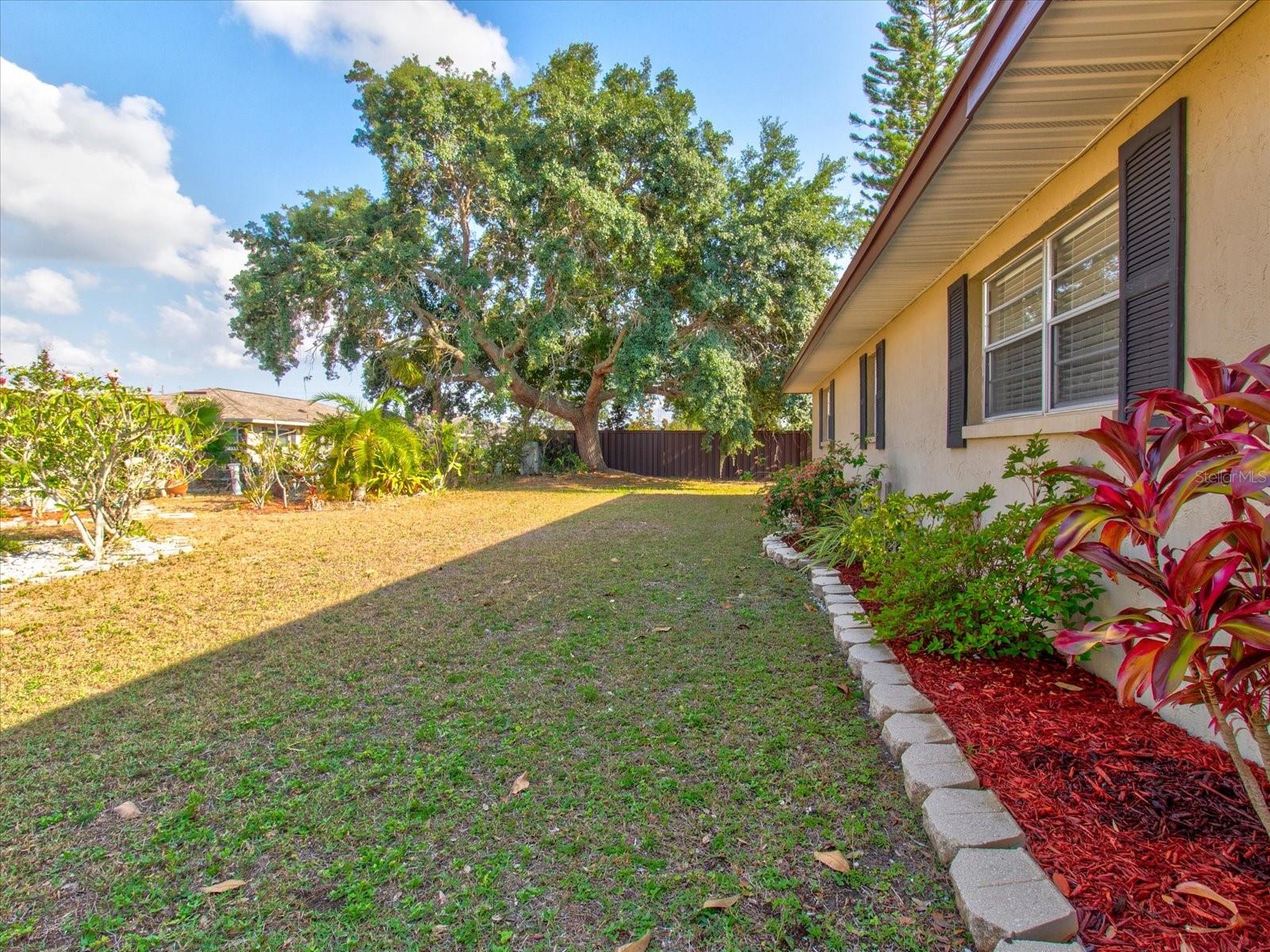 Front East Left side of the home facing back yard. Spacious yard on all 4 sides.