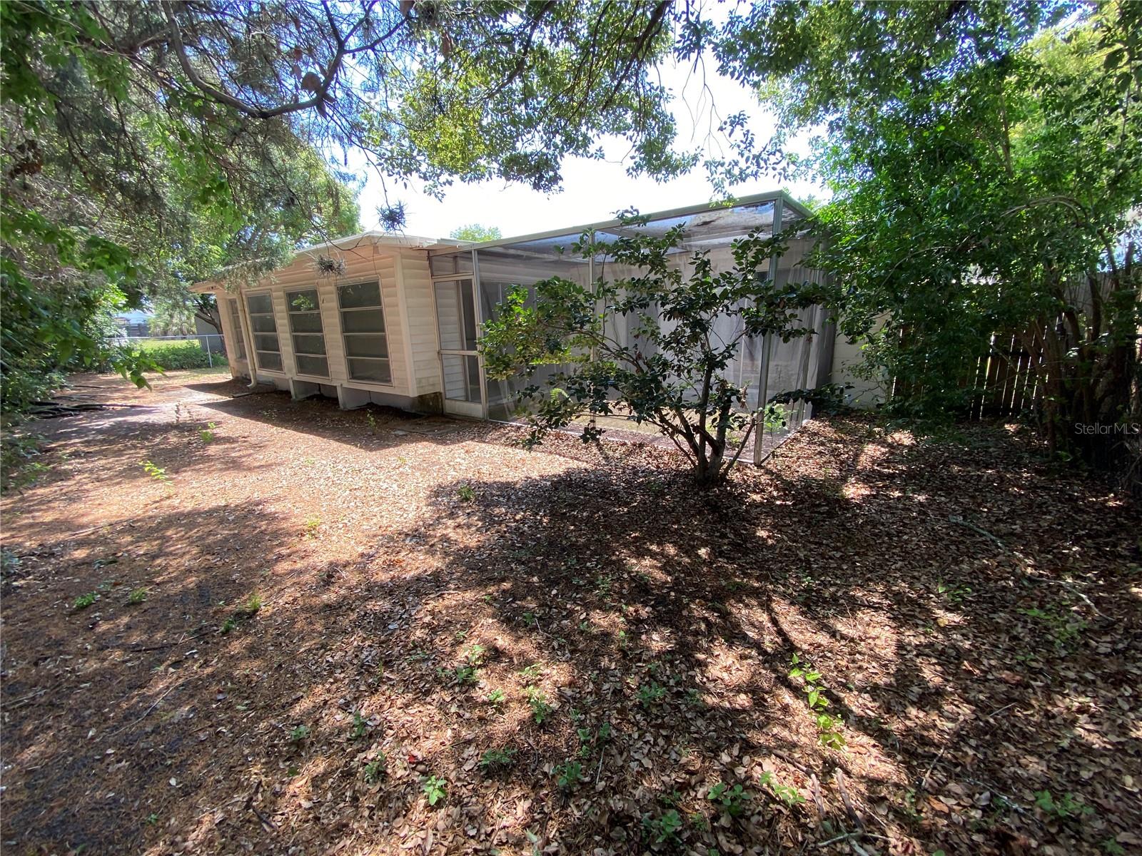 Back yard from north corner