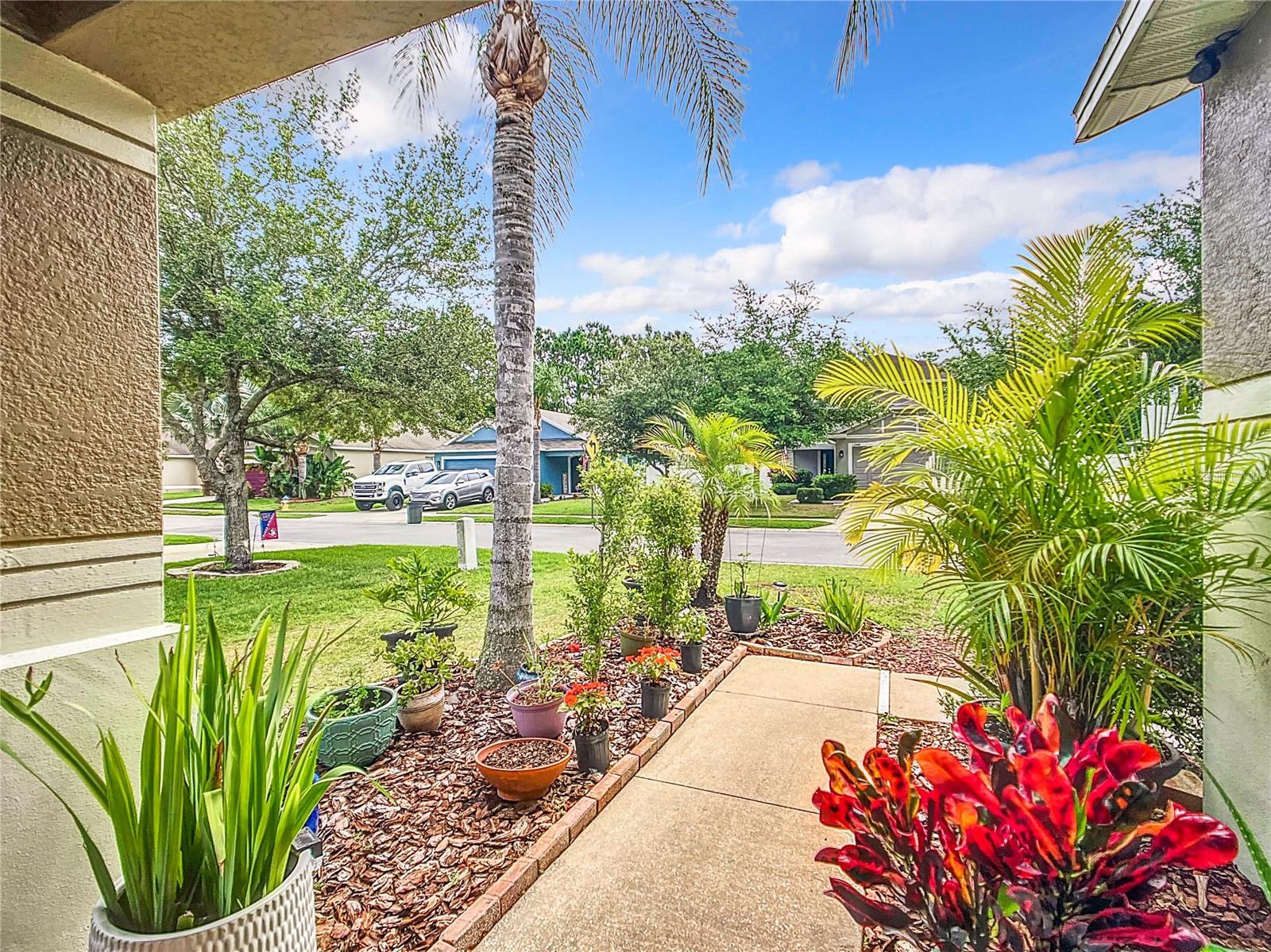 Front patio area