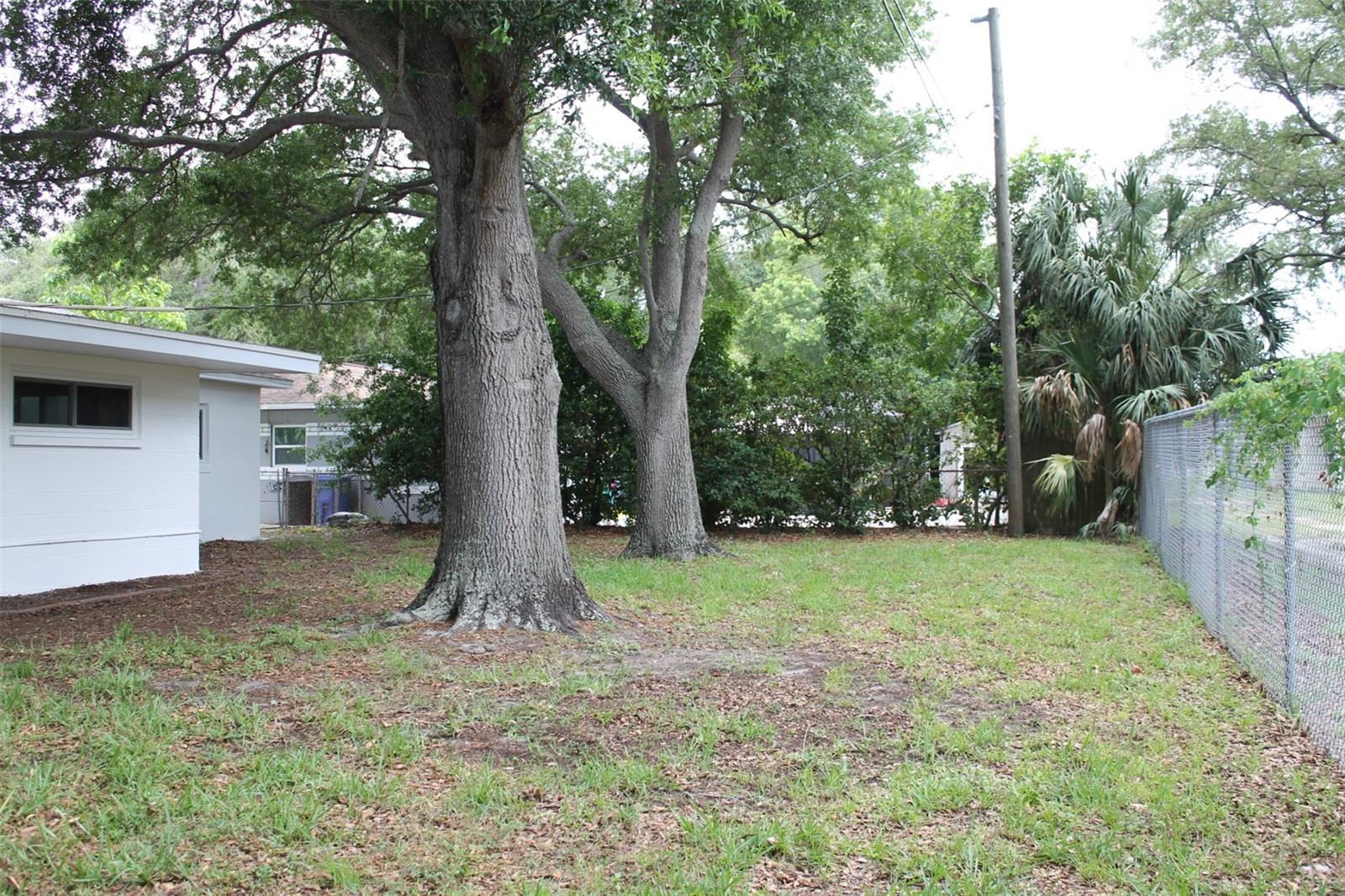 Expansive Backyard