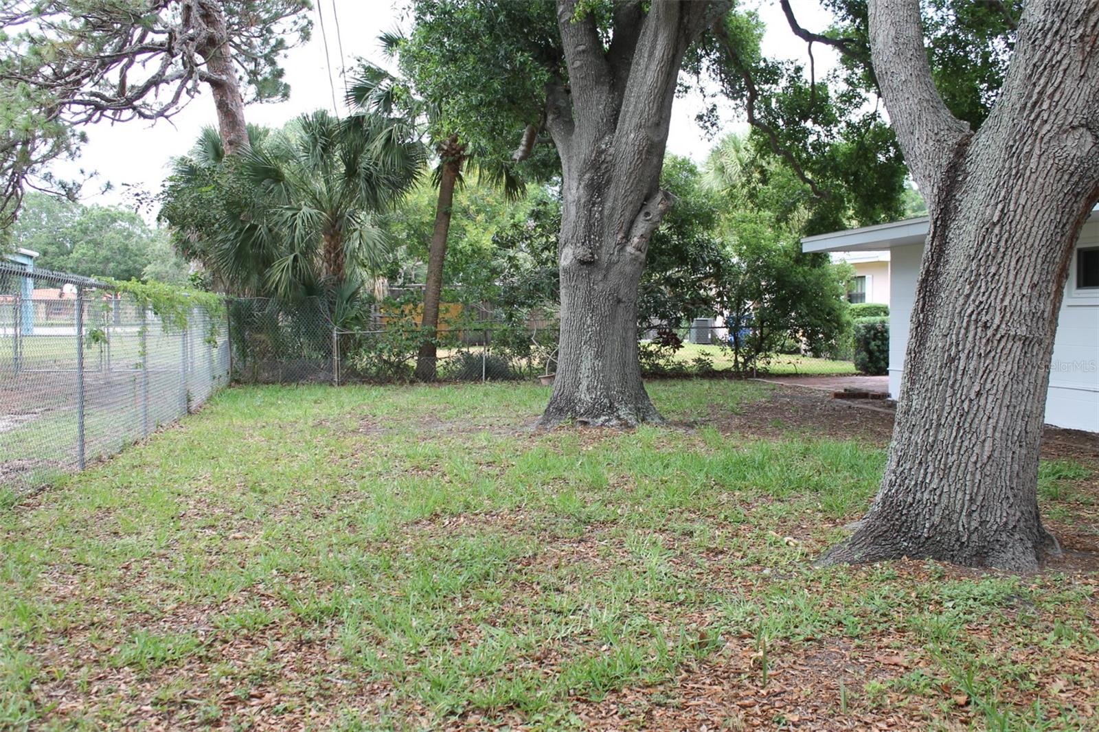 Expansive Backyard