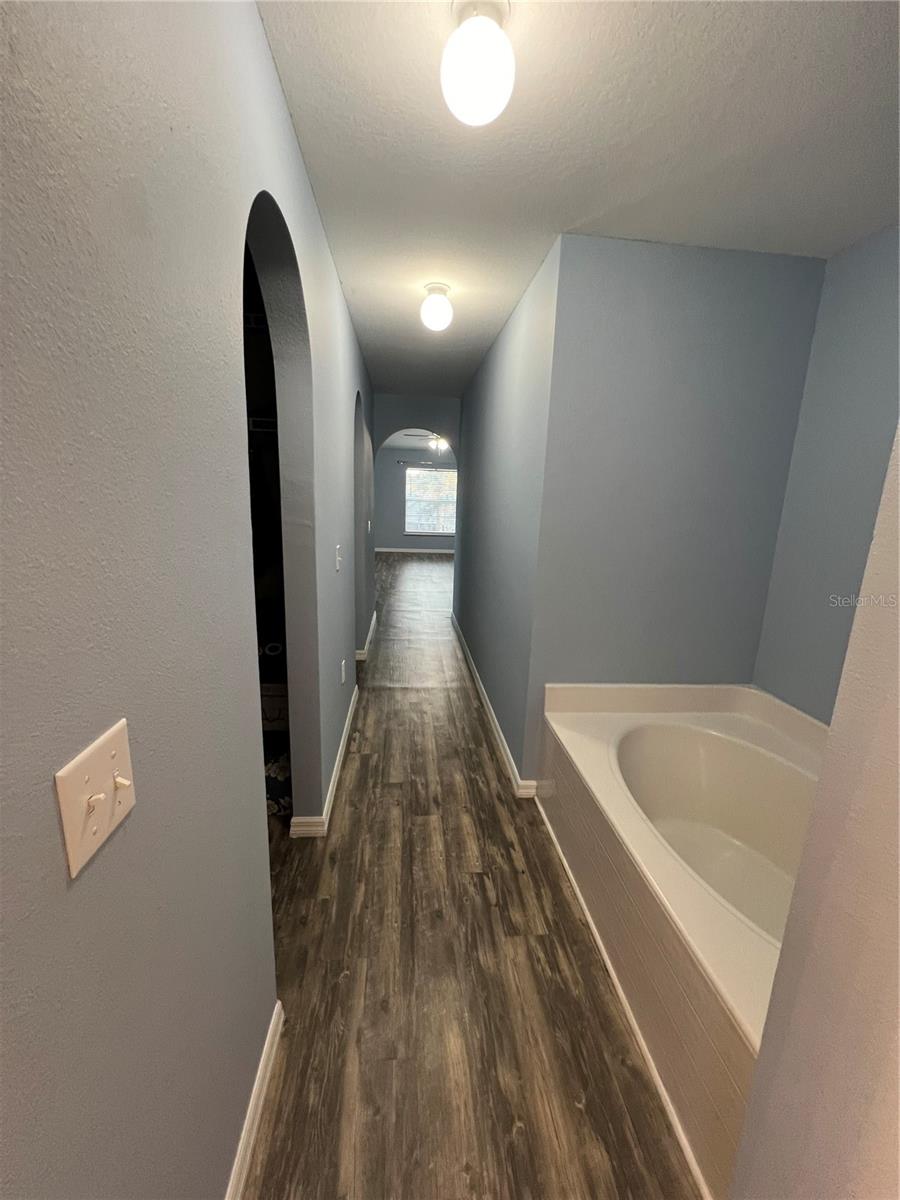 Master Bath Tub