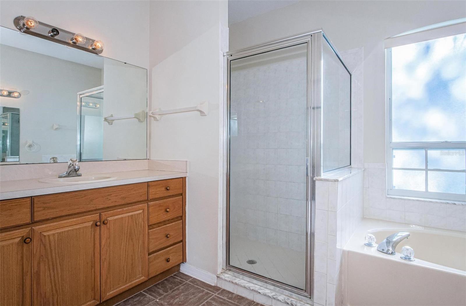 Master bathroom shower and tub