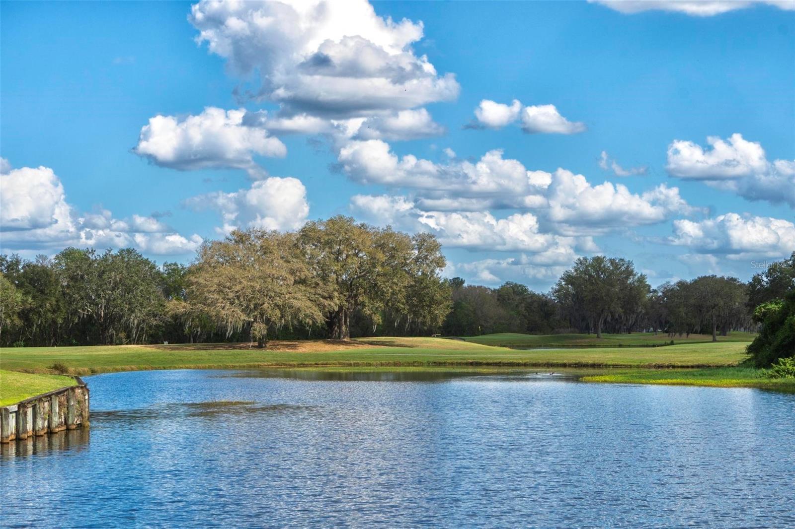 Golf Club view