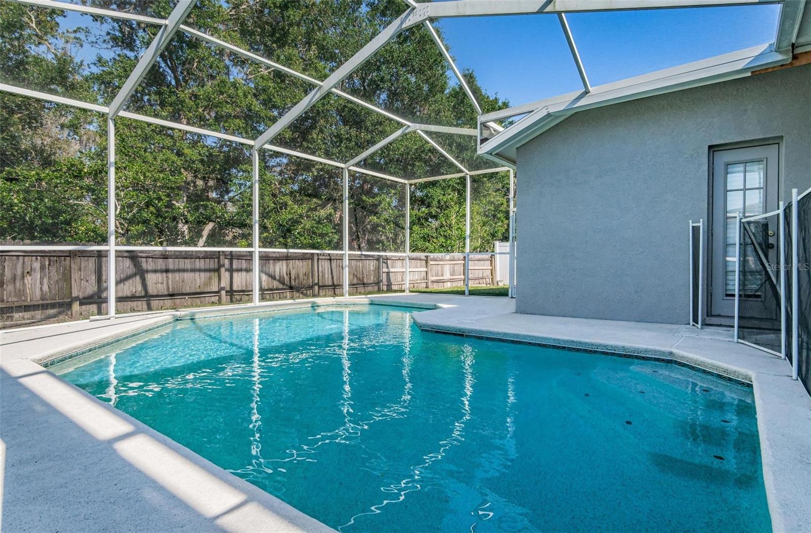 Pool and rear yard