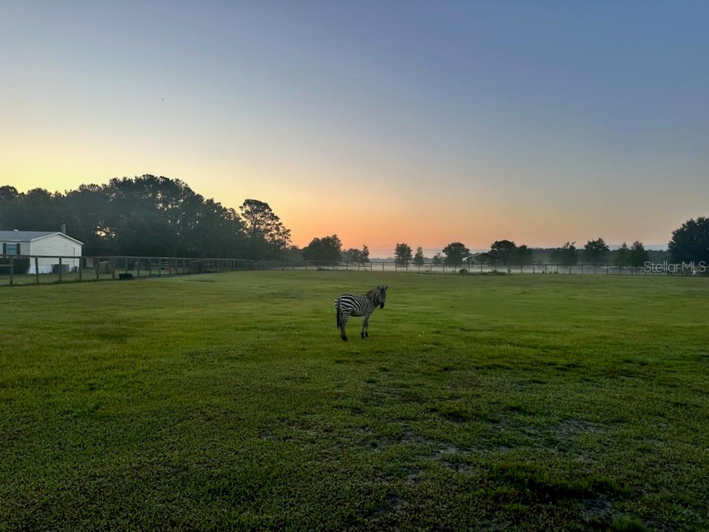 5296 Distant Breeze Rd. Pasture pic Sunrise 3