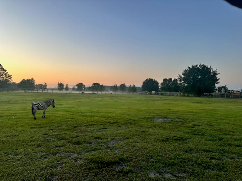 5296 Distant Breeze Rd. Pasture pic Sunrise 2