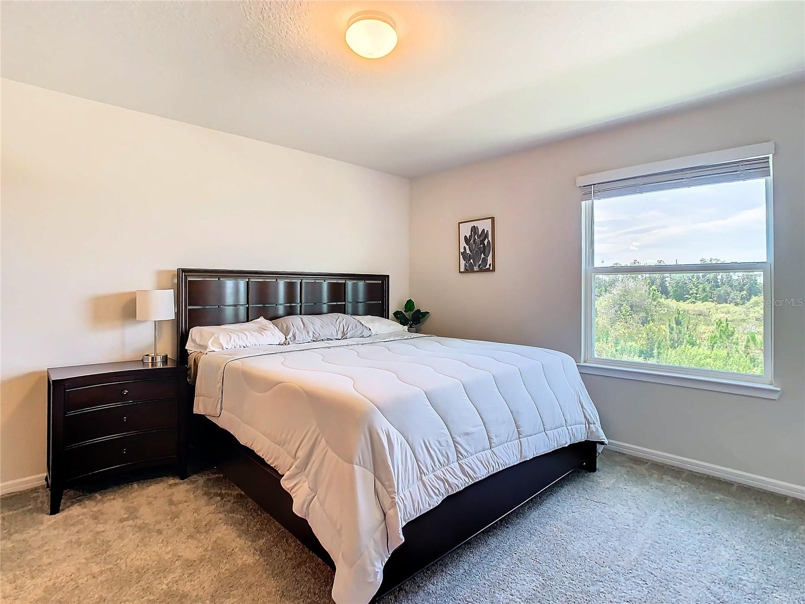 Primary bedroom with a beautiful view