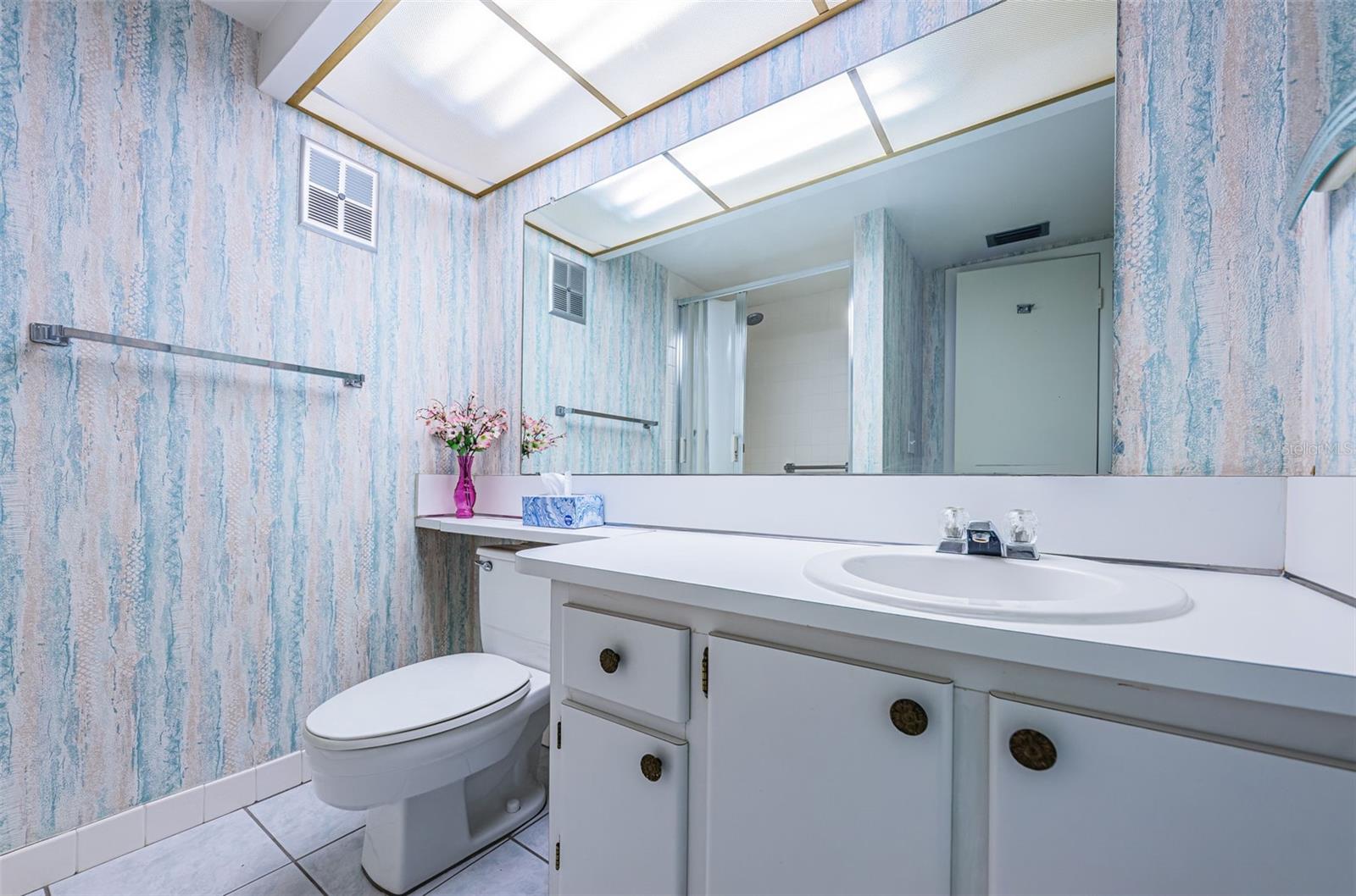 Guest bath with walk-in shower