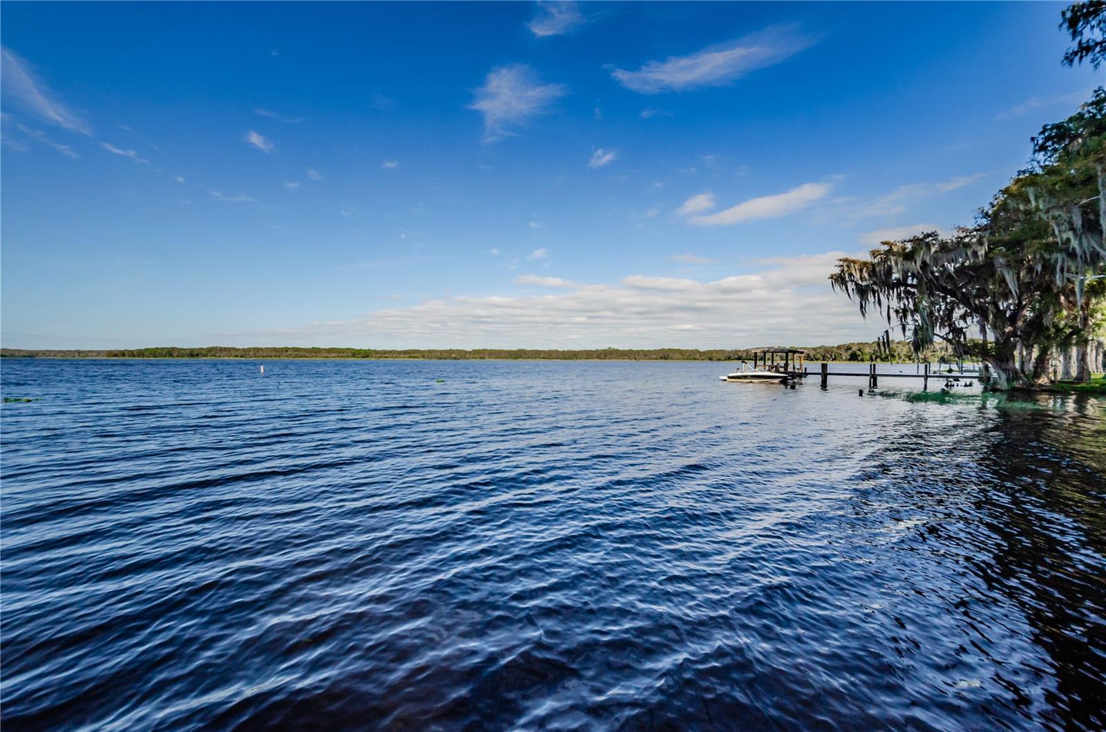 Lake Tarpon
