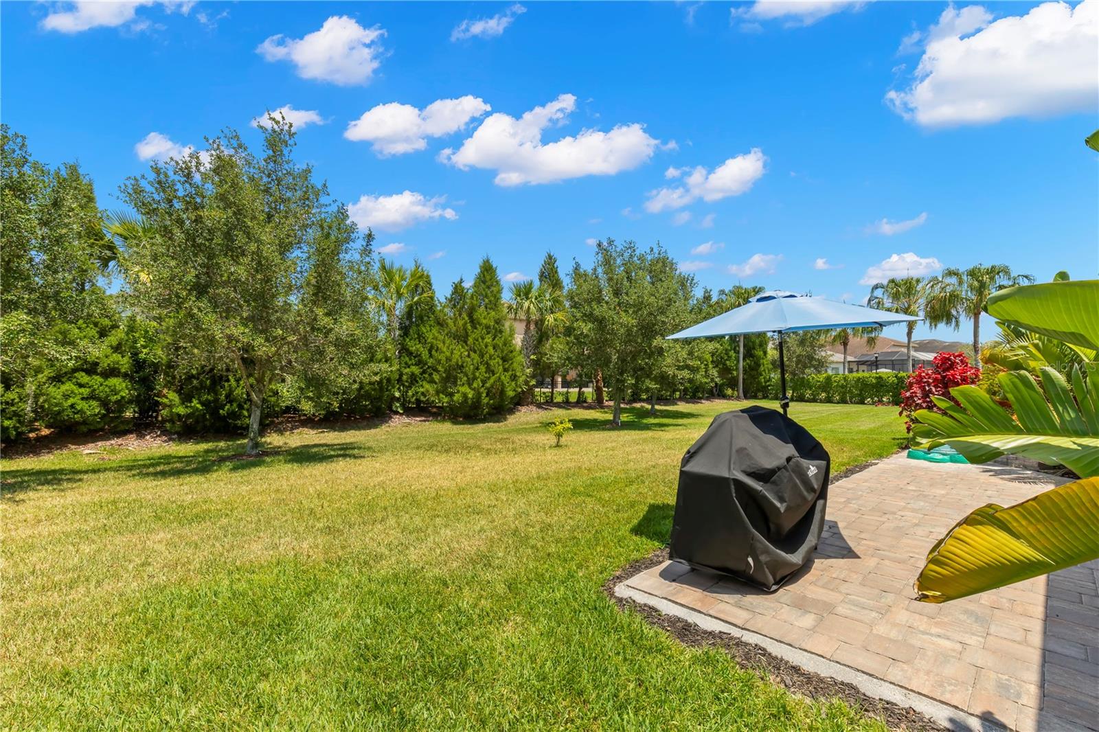Beautiful and spacious back yard with room to run and play!