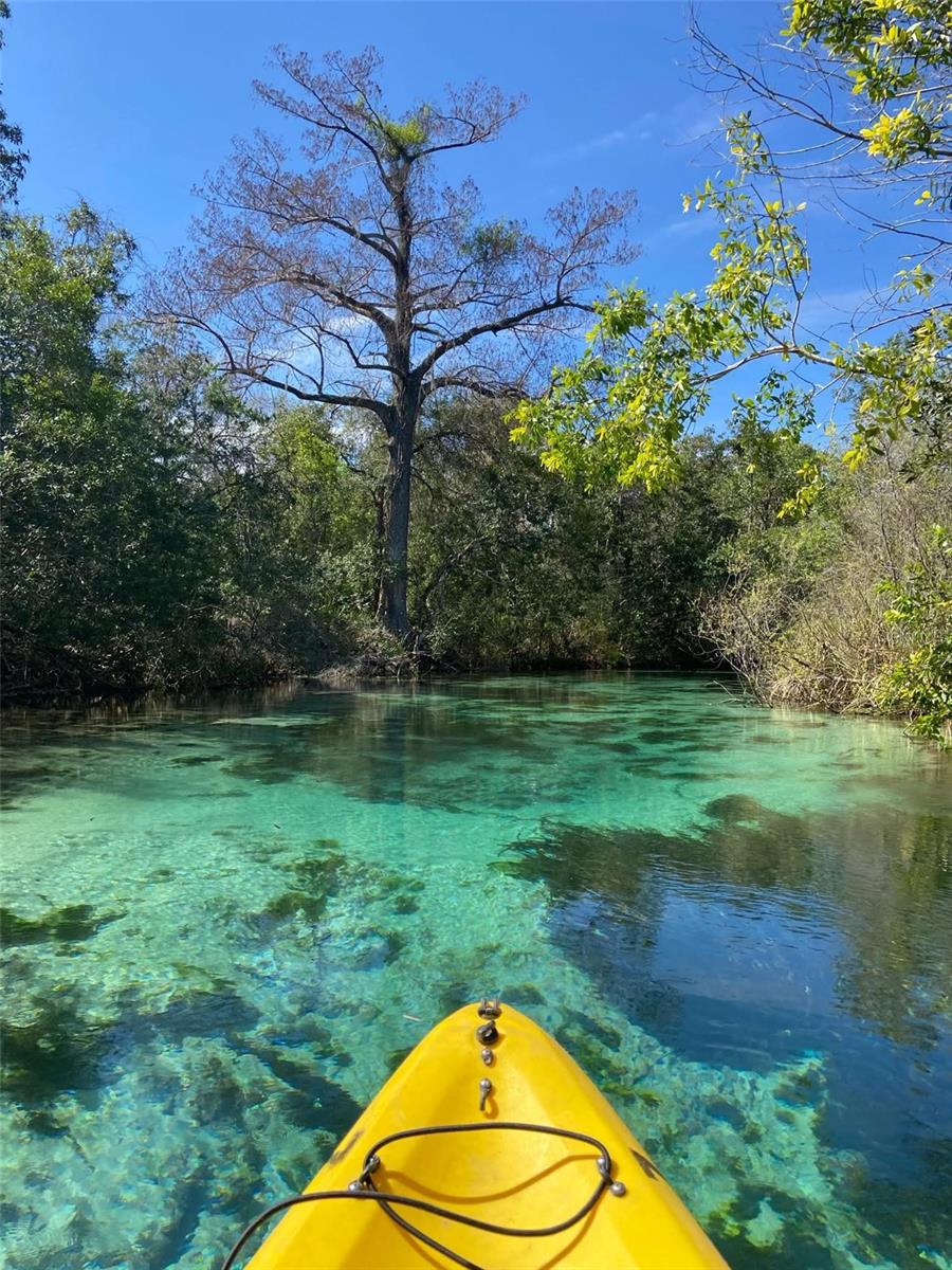 Weeki Wachee River sightseeing could happen daily from your backyard. Easily launch from your backyard & explore The natural beauty of the Weeki Wachee Springs or the Gulf of Mexico!  There's never a bad day in Weeki for nature lovers.