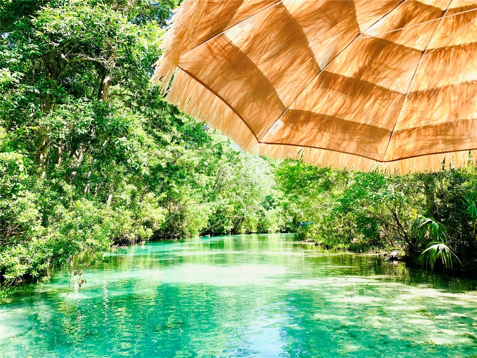 Weeki Wachee Springs River & The Gulf of Mexico are connected to this property via this boat friendly upriver canal