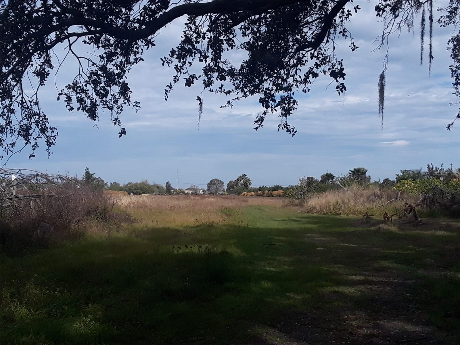 Crop Field